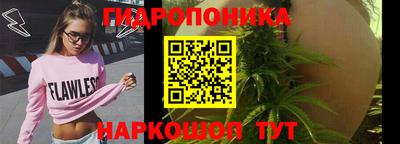 винт Славгород