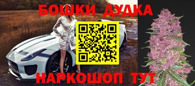 винт Славгород