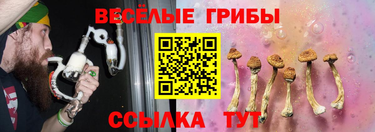 Октябрьский  Псилоцибиновые грибы MAGIC MUSHROOMS  Вход с VPN 